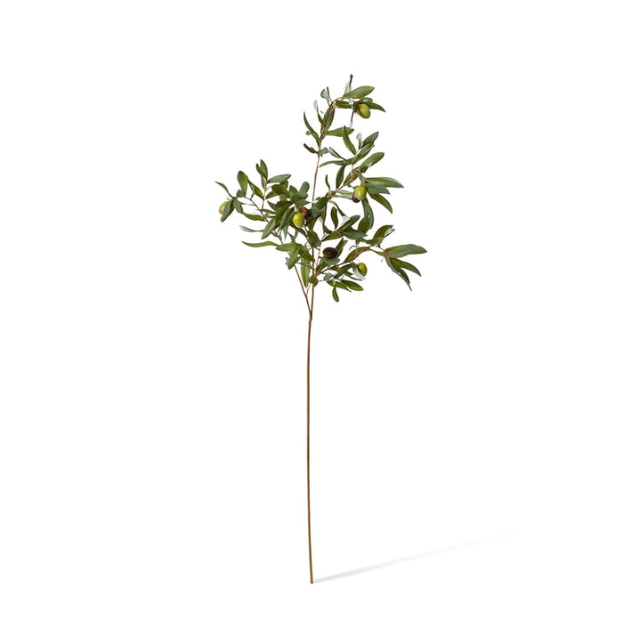 Olive Rocca Spray Pack of 12 - Green, 97cm (H)