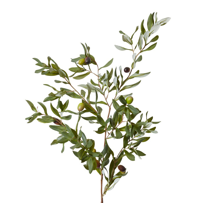 Olive Rocca Spray Pack of 12 - Green, 117cm (H)