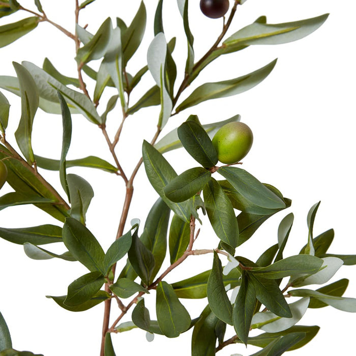 Olive Rocca Spray Pack of 12 - Green, 117cm (H)