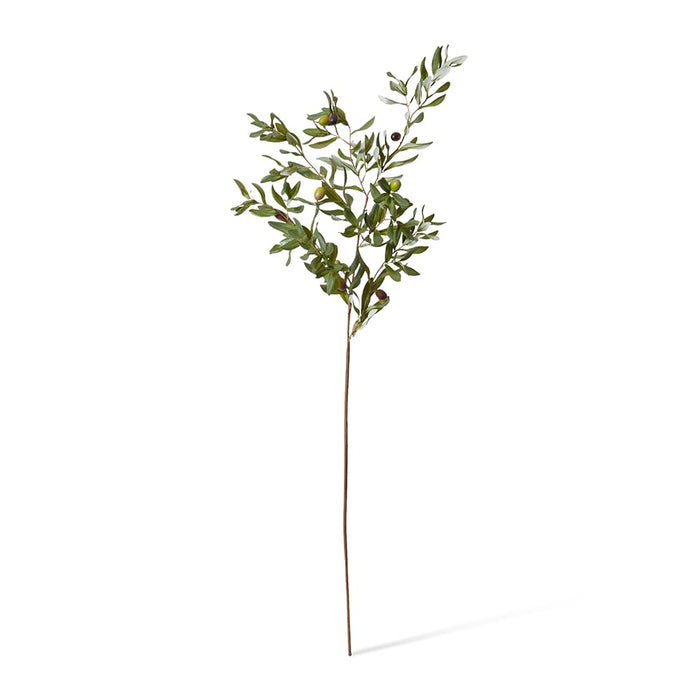 Olive Rocca Spray Pack of 12 - Green, 117cm (H)