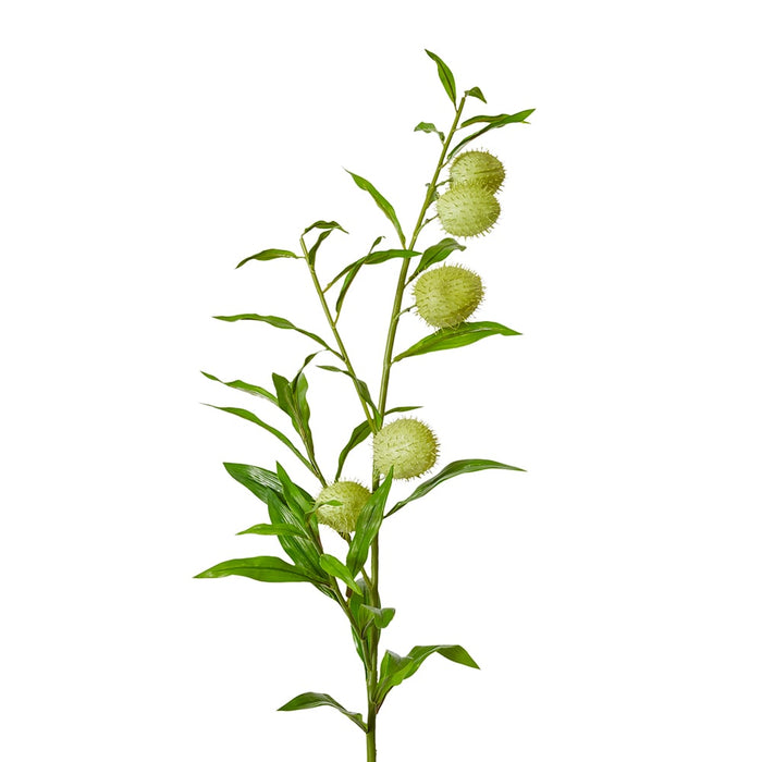 Milk Weed Leaf Stem Pack of 12 - Green, 114cm (H)
