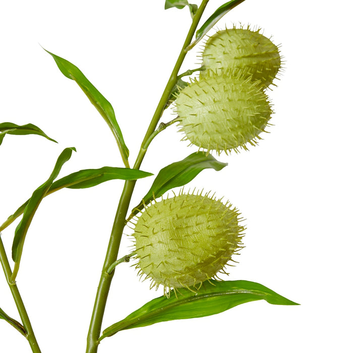 Milk Weed Leaf Stem Pack of 12 - Green, 114cm (H)