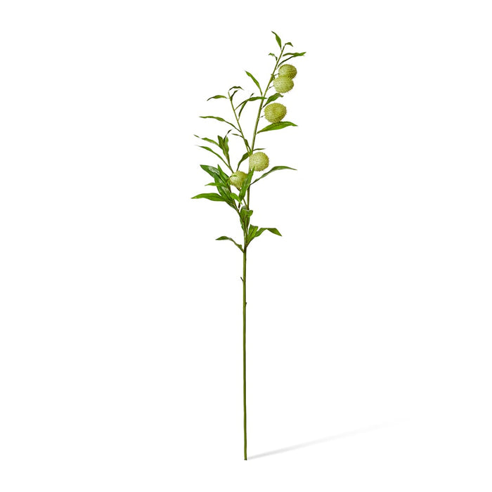 Milk Weed Leaf Stem Pack of 12 - Green, 114cm (H)