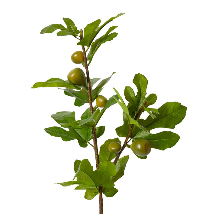 Fig Branch Pack of 12 - Green, 86cm (H)