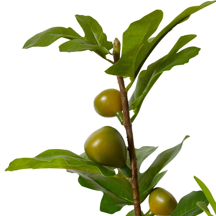 Fig Branch Pack of 12 - Green, 86cm (H)