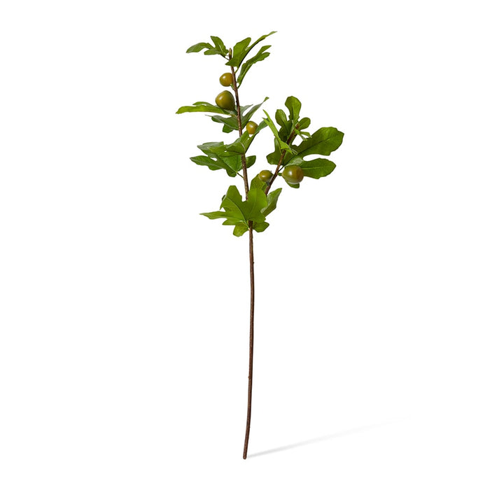 Fig Branch Pack of 12 - Green, 86cm (H)