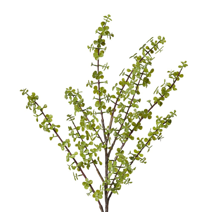 Jade Stem Pack of 12 - Green, 97cm (H)
