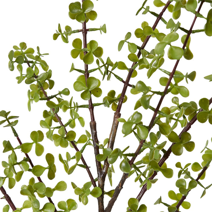 Jade Stem Pack of 12 - Green, 97cm (H)