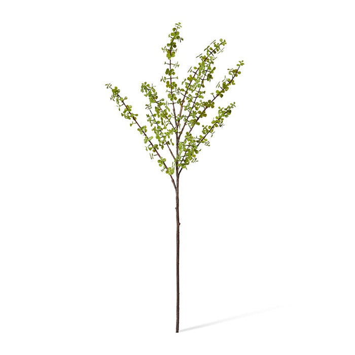 Jade Stem Pack of 12 - Green, 97cm (H)