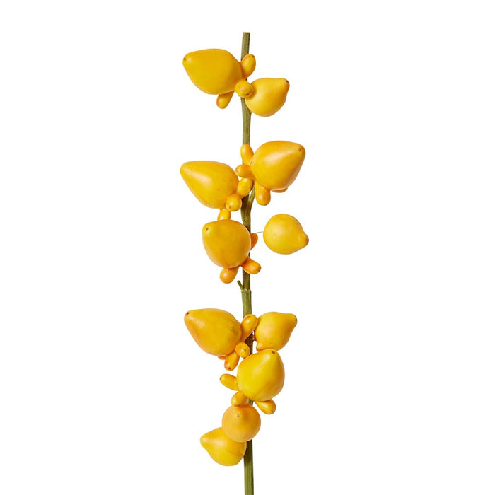 Bear Fruit Pack of 12 - Yellow, 79cm (H)