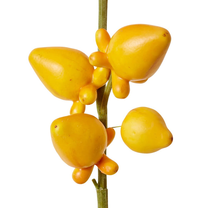 Bear Fruit Pack of 12 - Yellow, 79cm (H)