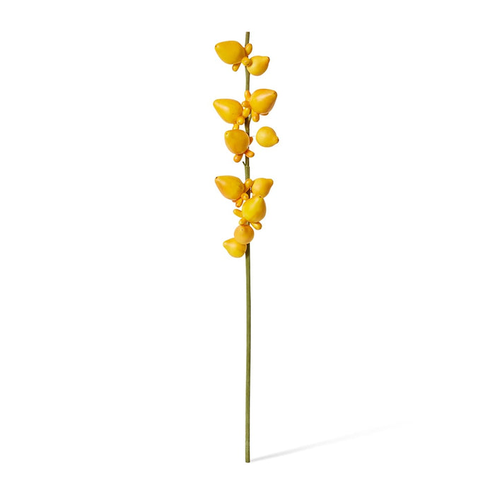Bear Fruit Pack of 12 - Yellow, 79cm (H)