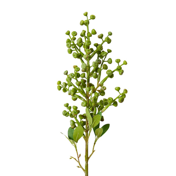 Eucy Nut Pick Pack of 12 - Green, 53cm (H)