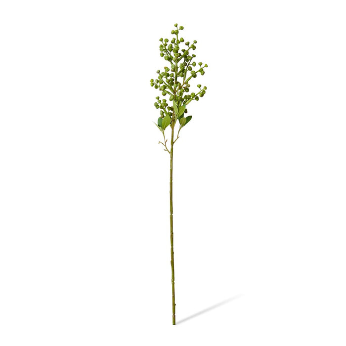 Eucy Nut Pick Pack of 12 - Green, 53cm (H)