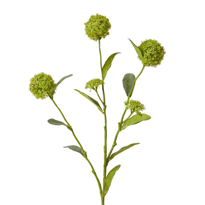 Alyssum Spray Pack of 12 - Green, 66cm (H)