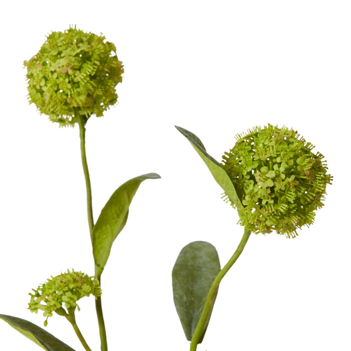 Alyssum Spray Pack of 12 - Green, 66cm (H)