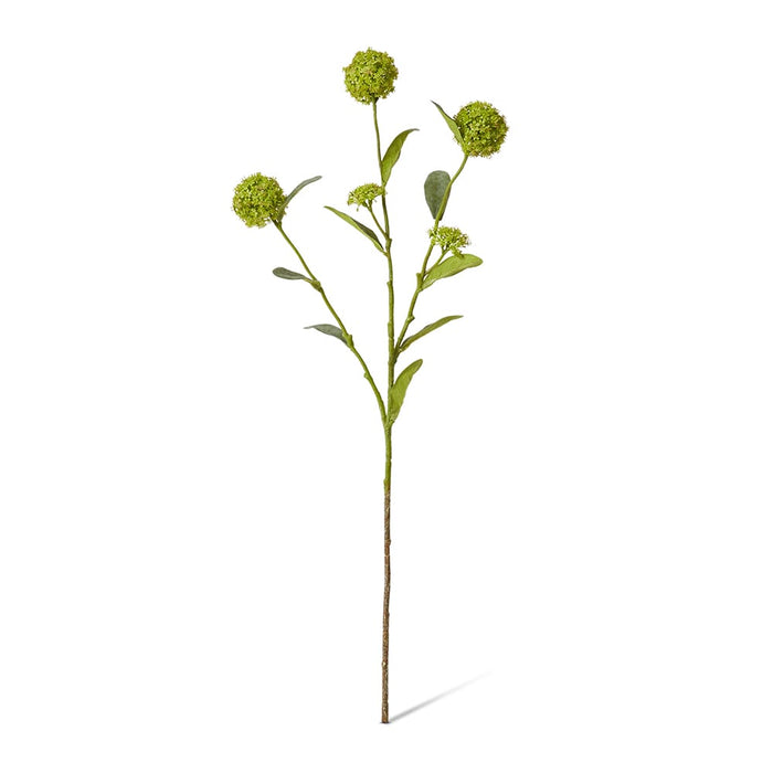 Alyssum Spray Pack of 12 - Green, 66cm (H)