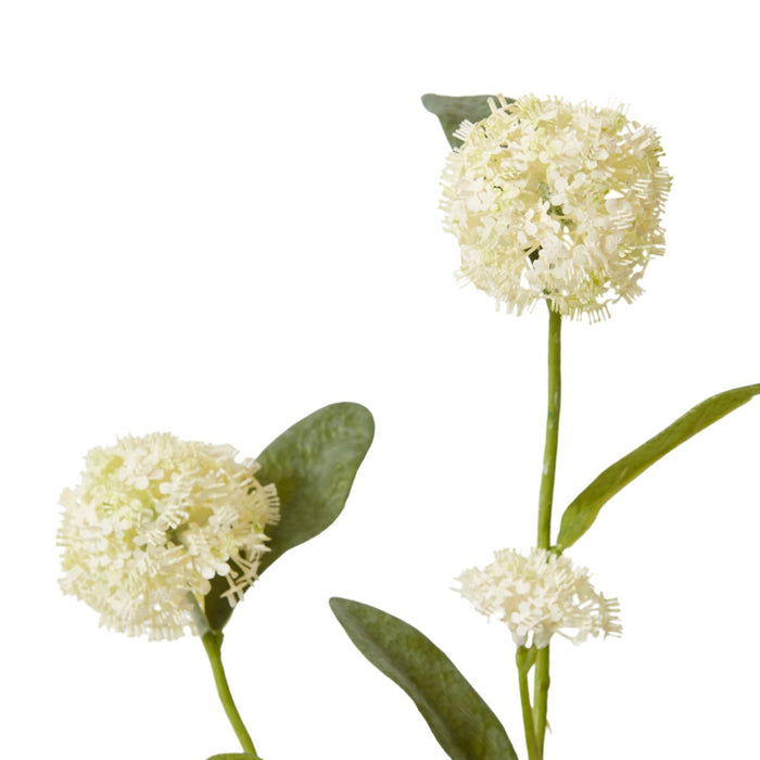 Alyssum Spray Pack of 12 - White, 66cm (H)