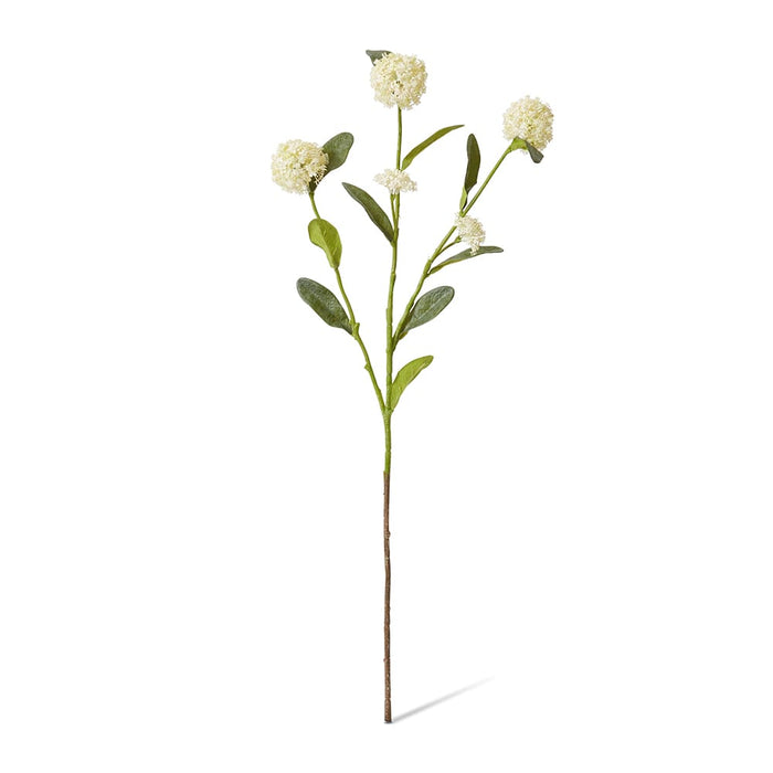 Alyssum Spray Pack of 12 - White, 66cm (H)