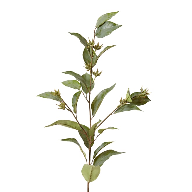 Eucalyptus Seed Spray Pack Of 12 - Grey Green, 112cm (H)