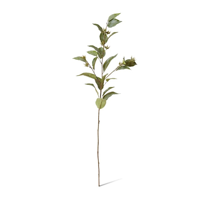 Eucalyptus Seed Spray Pack Of 12 - Grey Green, 112cm (H)