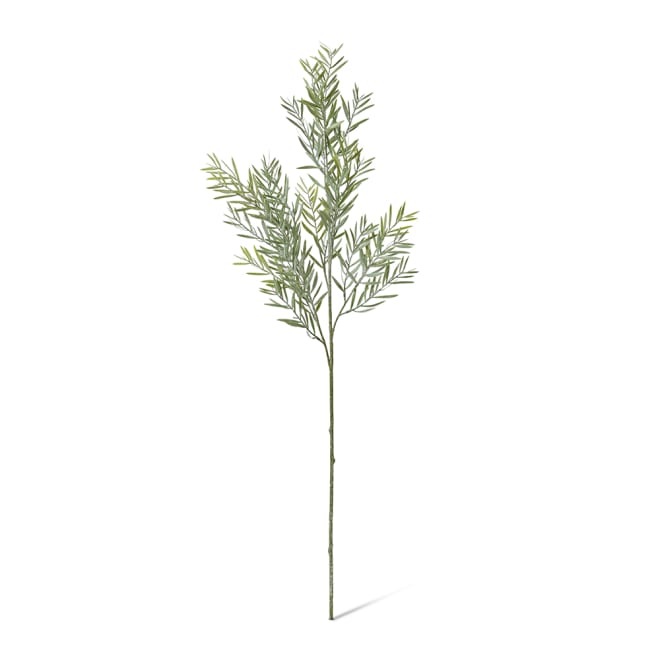 Acacia Spray Pack Of 12 - Grey Green, 78cm (H)