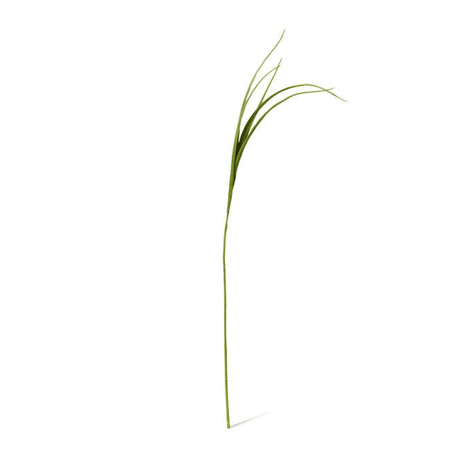 Grass Spray Pack Of 12 - Green, 102cm (H)
