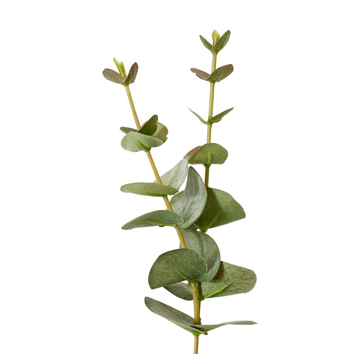 Eucalyptus Spray Pack Of 12 - Grey Green, 81cm (H)