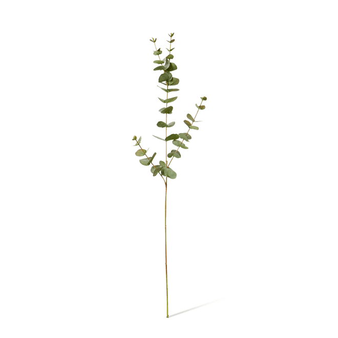 Eucalyptus Spray Pack Of 12 - Grey Green, 81cm (H)