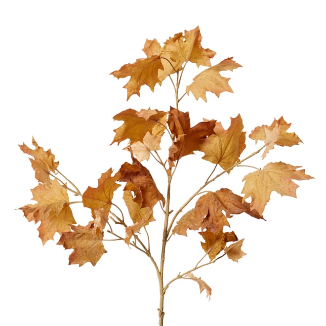 Maple Autumn Leaf Branch Pack Of 12 - Brown, 112cm (H)