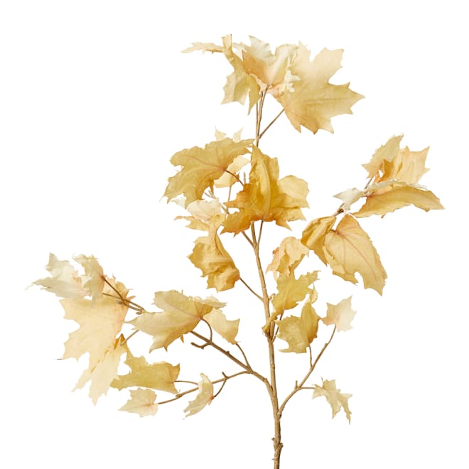 Maple Autumn Leaf Branch Pack Of 12 - Cream, 112cm (H)