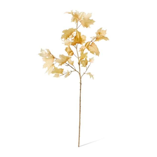 Maple Autumn Leaf Branch Pack Of 12 - Cream, 112cm (H)