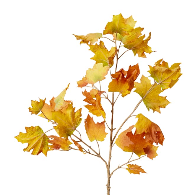 Maple Autumn Leaf Branch Pack Of 12 - Yellow, 112cm (H)