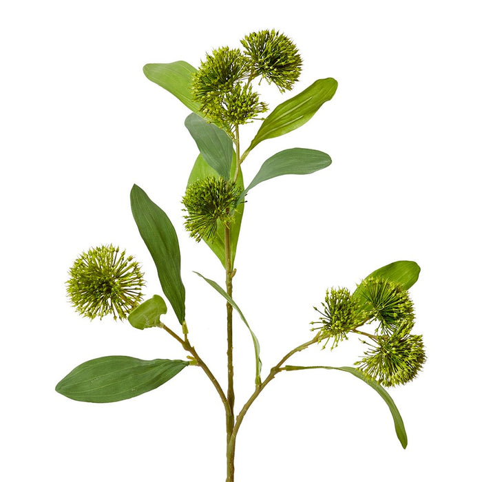 Sweet Gum Pom Pom Spray Pack of 12 - Green, 71cm (H)