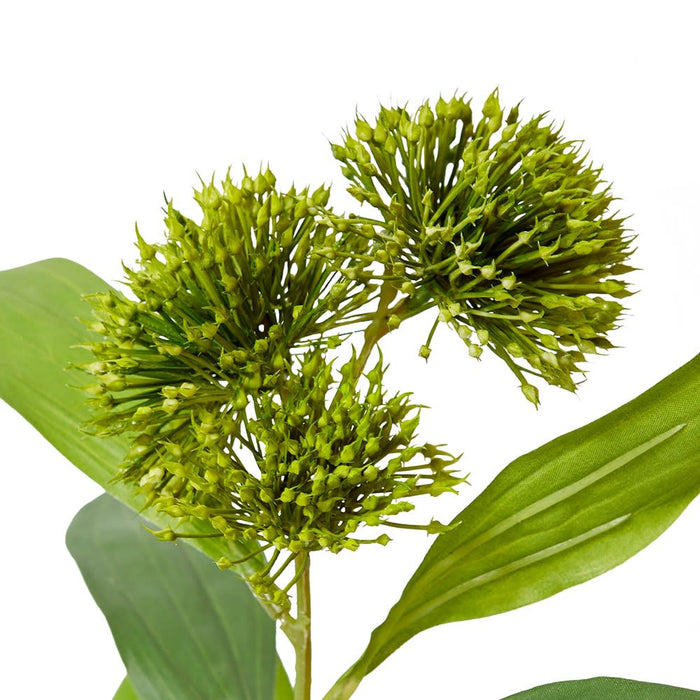 Sweet Gum Pom Pom Spray Pack of 12 - Green, 71cm (H)