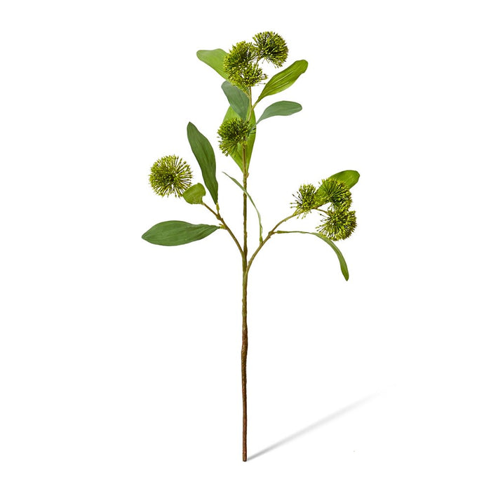 Sweet Gum Pom Pom Spray Pack of 12 - Green, 71cm (H)