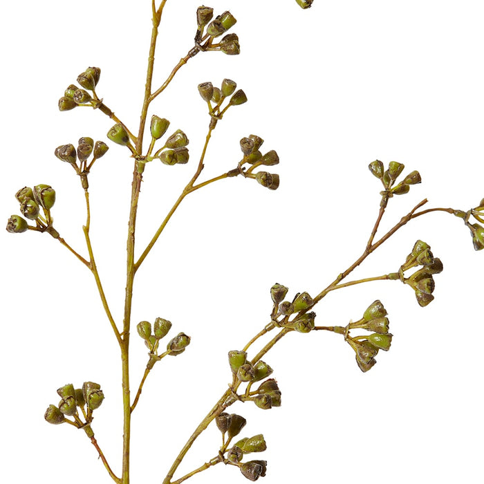 Eucalyptus Nuts Spray Pack Of 12 - Green, 84cm (H)