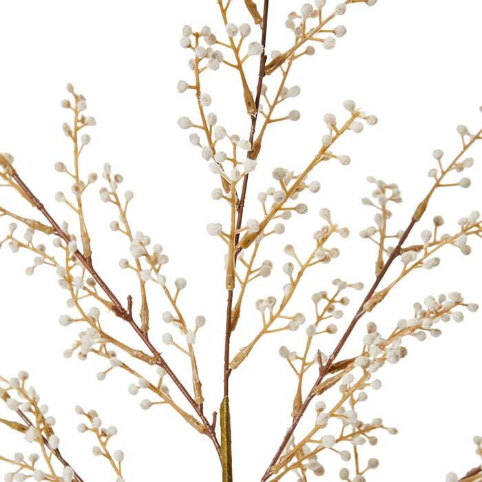 Willow Mini Spray Pack Of 12 - Beige, 85cm (H)