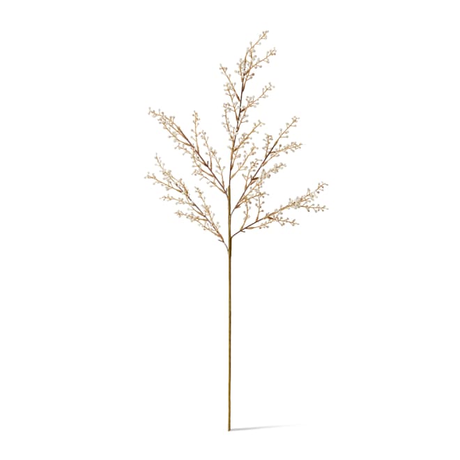 Willow Mini Spray Pack Of 12 - Beige, 85cm (H)