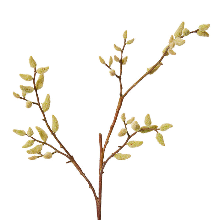 Magnolia Budding Stem Pack Of 12 - Natural, 99cm (H)