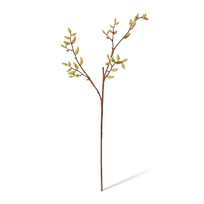 Magnolia Budding Stem Pack Of 12 - Natural, 99cm (H)