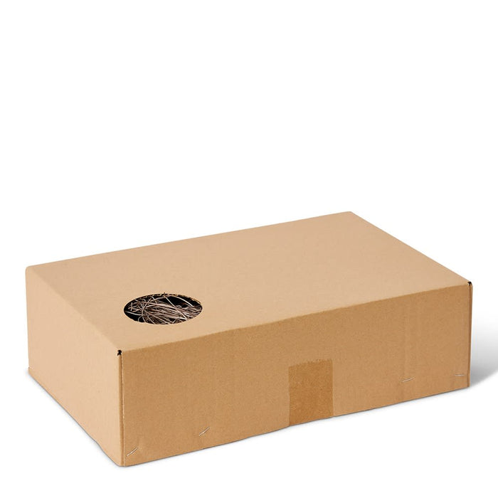 Pot Fill Pack of 10 - Brown, 10cm (H)