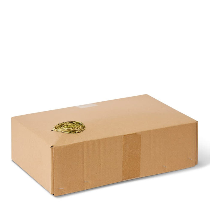 Pot Fill Pack of 10 - Natural, 10cm (H)
