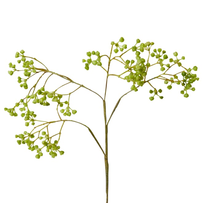 Berry Seed Spray Pack Of 12 - Green, 63cm (H)