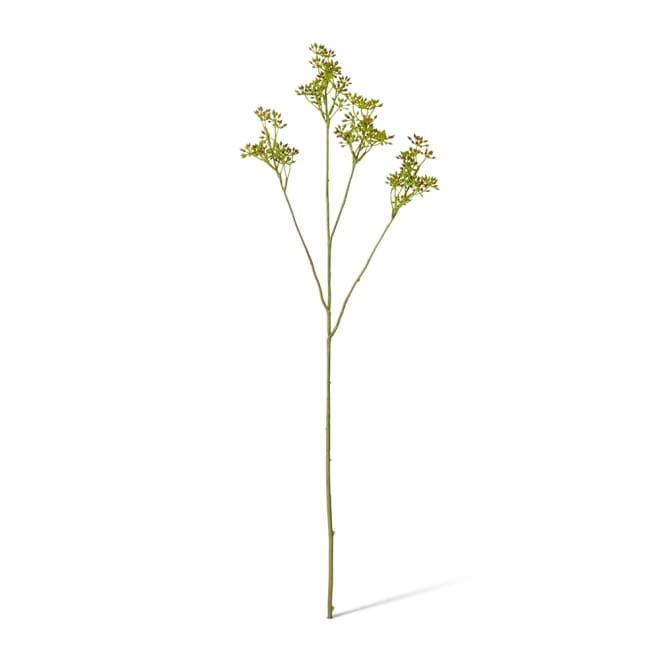 Eucalyptus Seeding Spray Pack Of 12 - Green/Burgundy, 62cm (H)