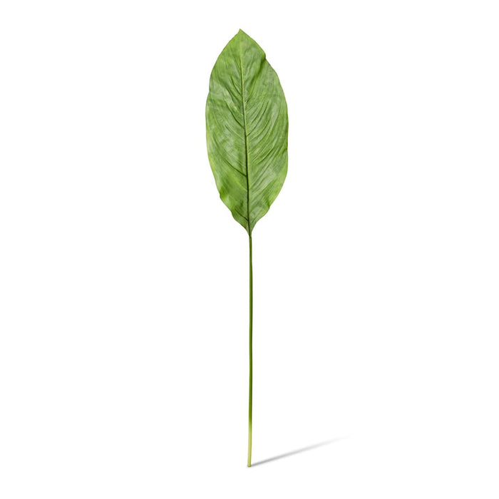 Spath Leaf Stem Pack of 12 - Green, 100cm (H)