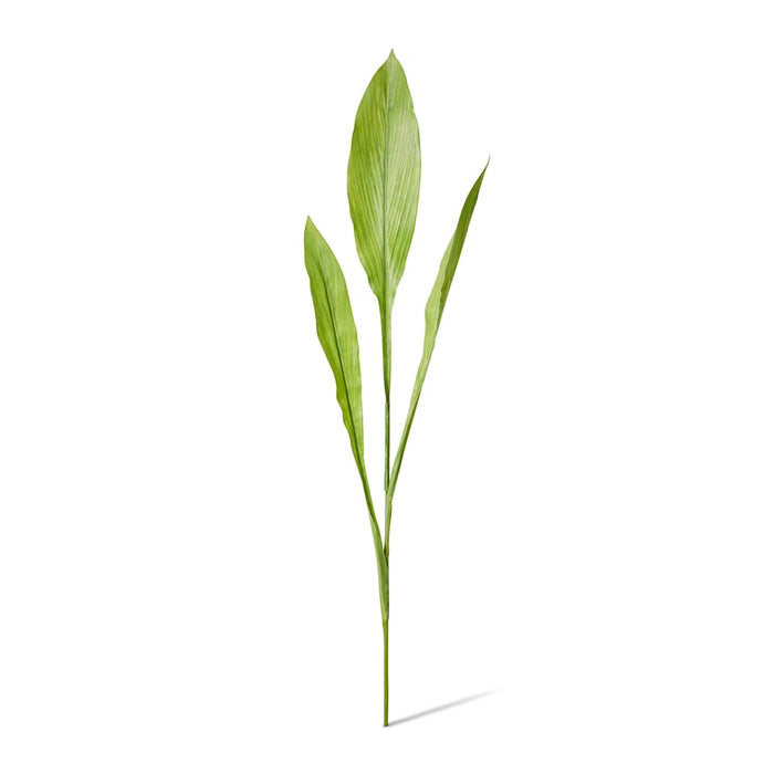Ginger Leaf Spray Pack of 12 - Green, 91cm (H)