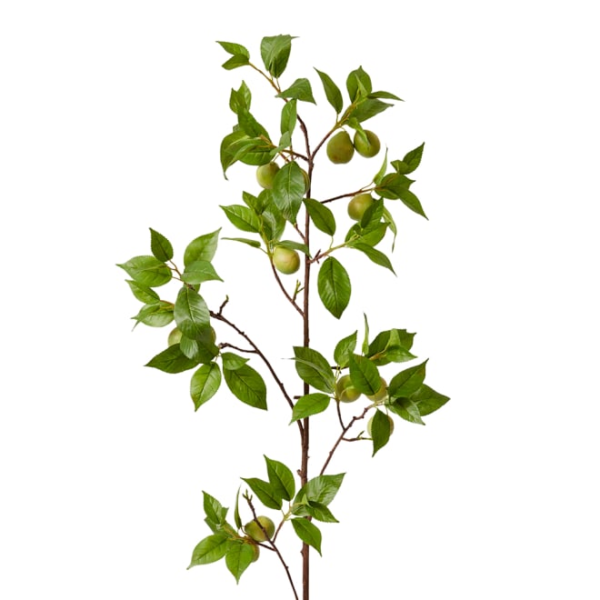 Fruit Branch Pack Of 4 - Green, 119cm (H)