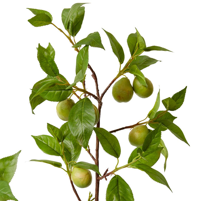 Fruit Branch Pack Of 4 - Green, 119cm (H)