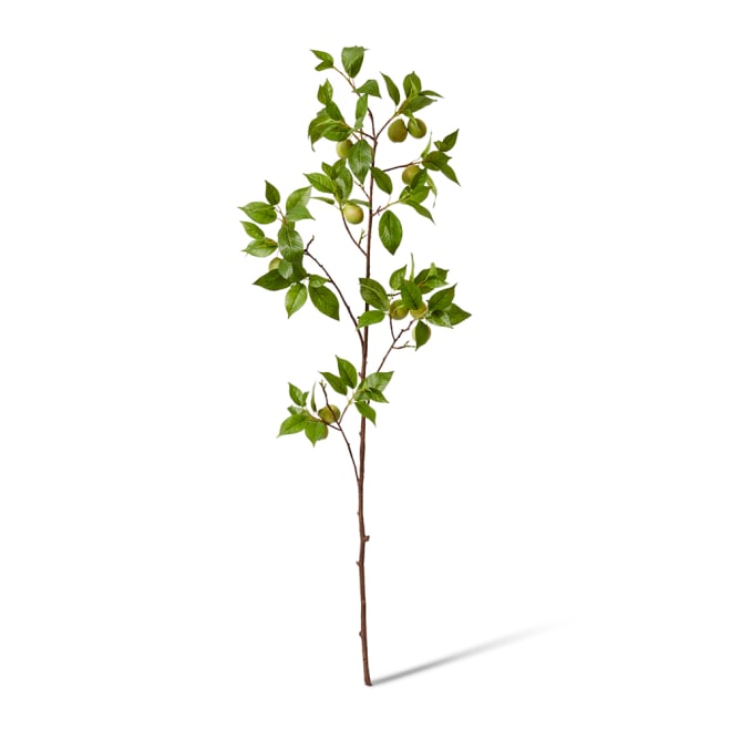 Fruit Branch Pack Of 4 - Green, 119cm (H)